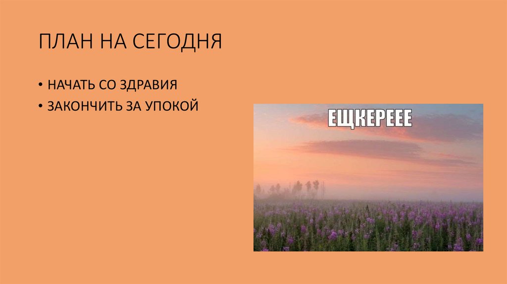 ПЛАН НА СЕГОДНЯ