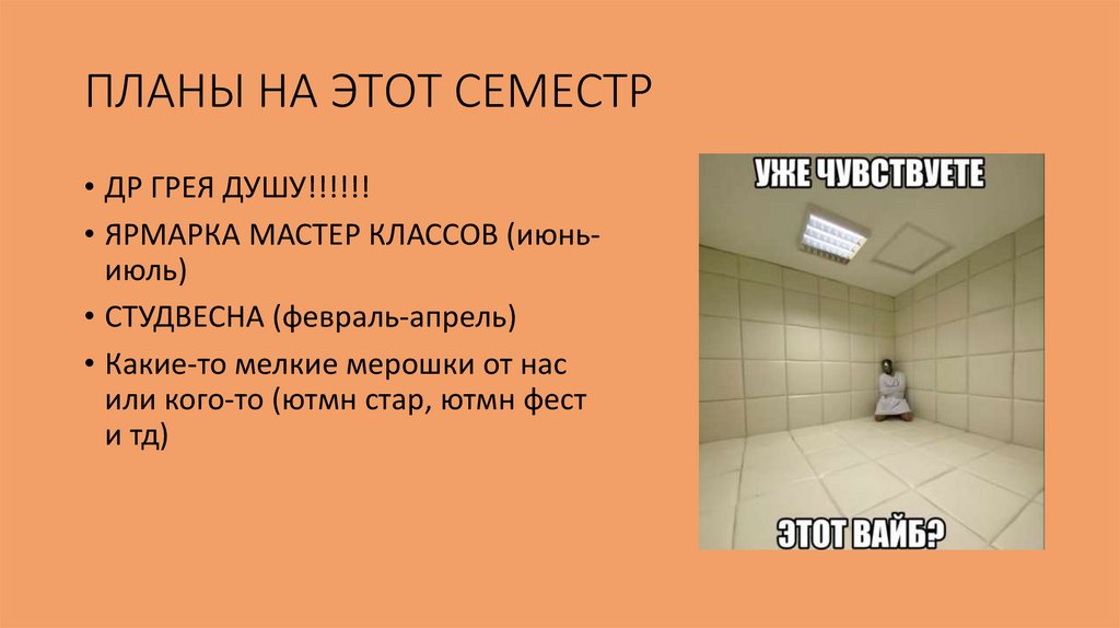 ПЛАНЫ НА ЭТОТ СЕМЕСТР