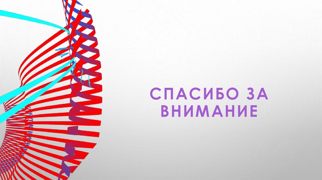 Спасибо за внимание