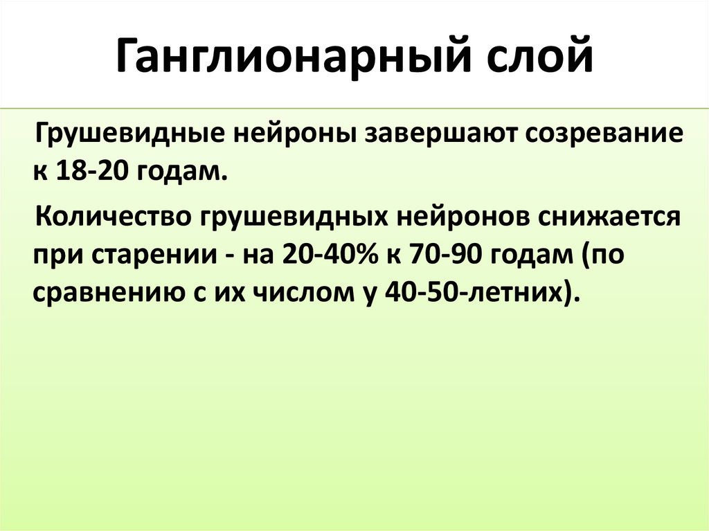 Ганглионарный слой