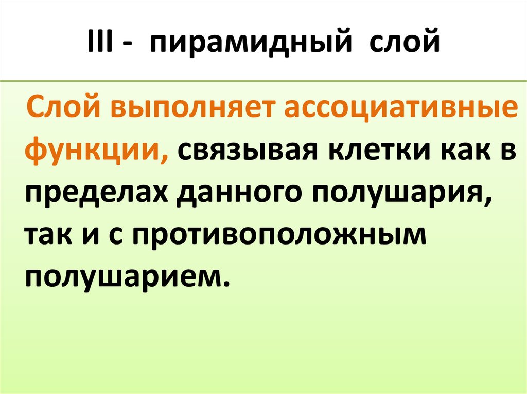 III - пирамидный слой