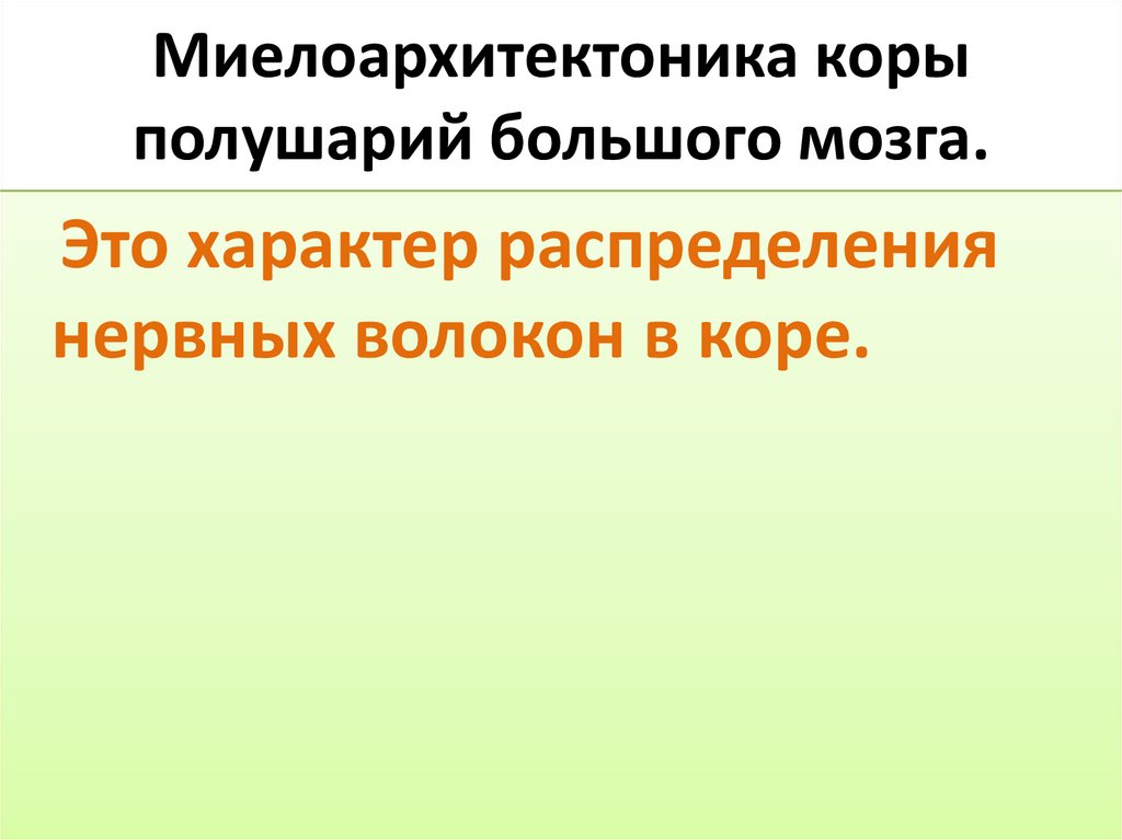 Миелоархитектоника коры полушарий большого мозга.