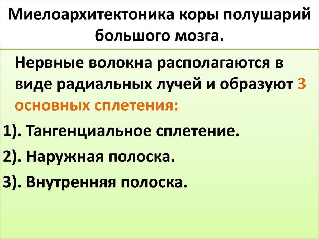 Миелоархитектоника коры полушарий большого мозга.