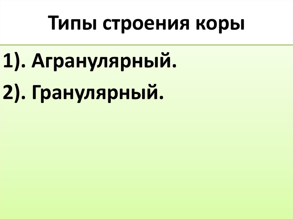 Типы строения коры