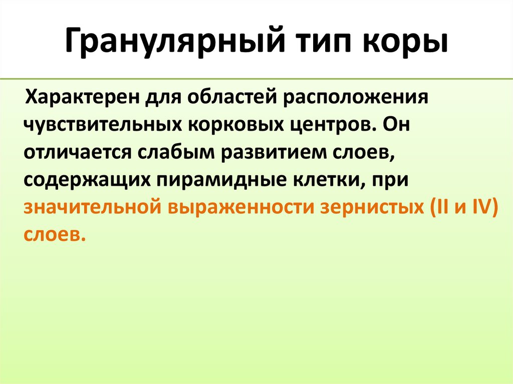 Гранулярный тип коры