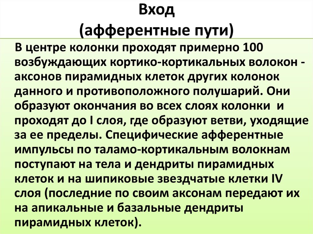 Вход (афферентные пути)