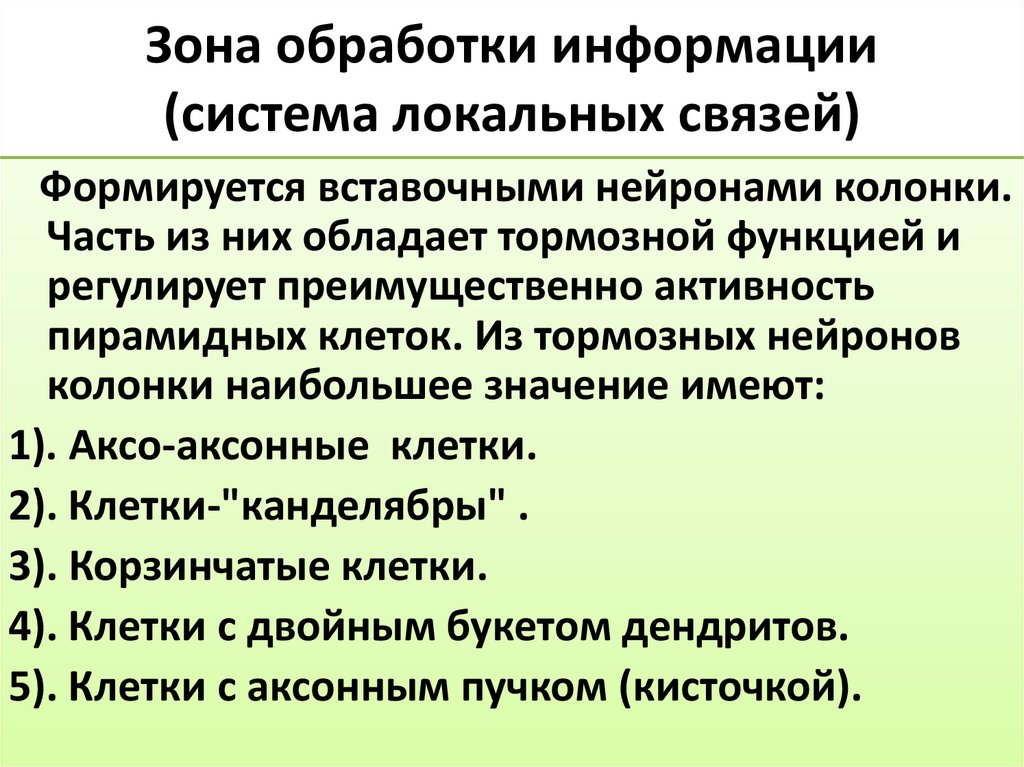 Зона обработки информации (система локальных связей)