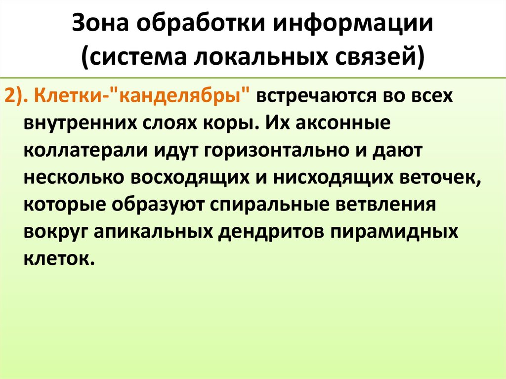Зона обработки информации (система локальных связей)