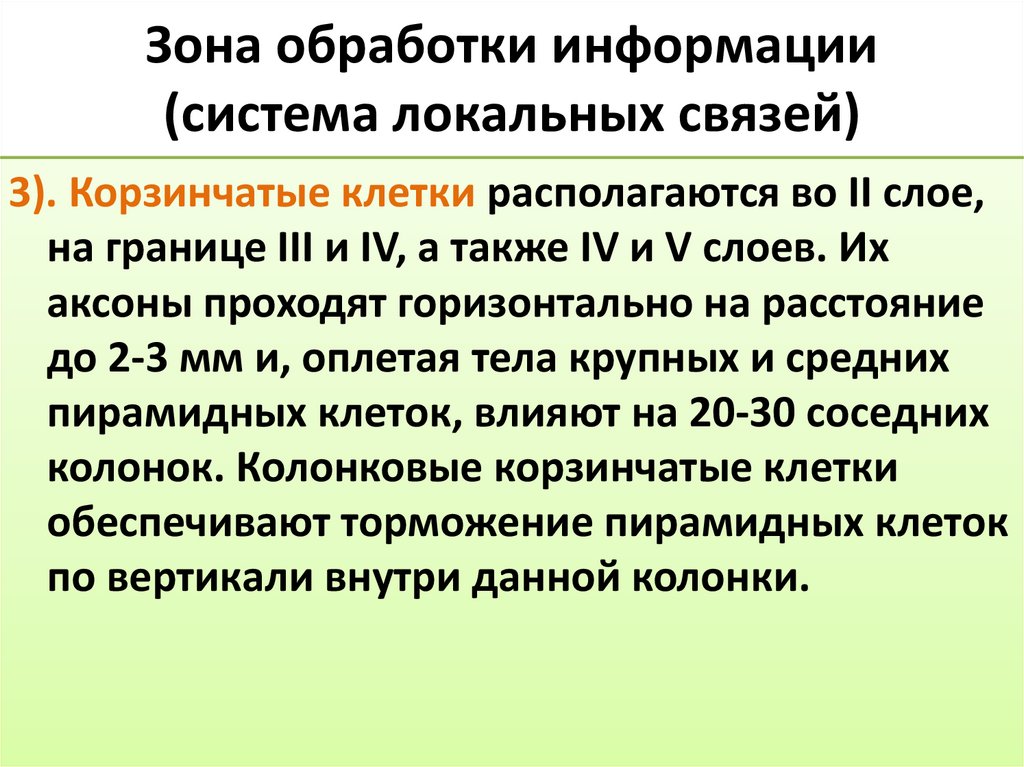 Зона обработки информации (система локальных связей)