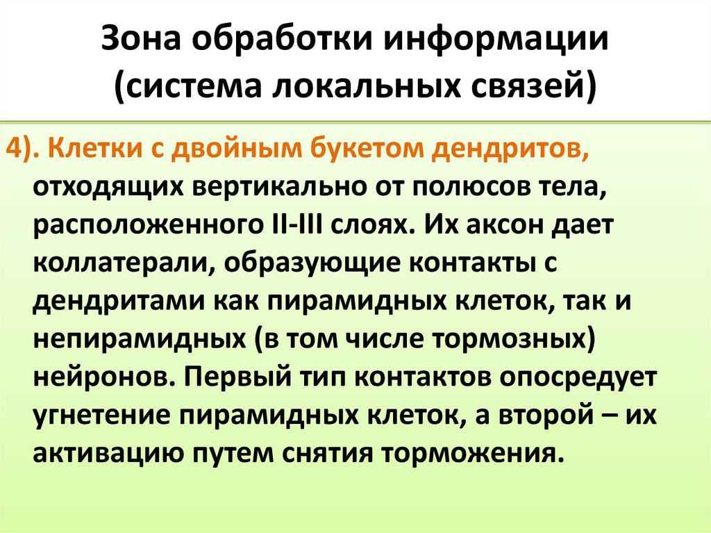 Зона обработки информации (система локальных связей)