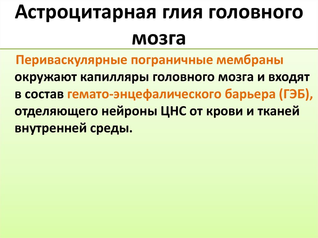 Астроцитарная глия головного мозга