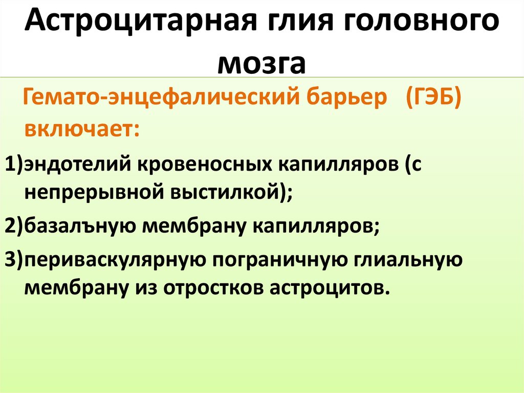 Астроцитарная глия головного мозга