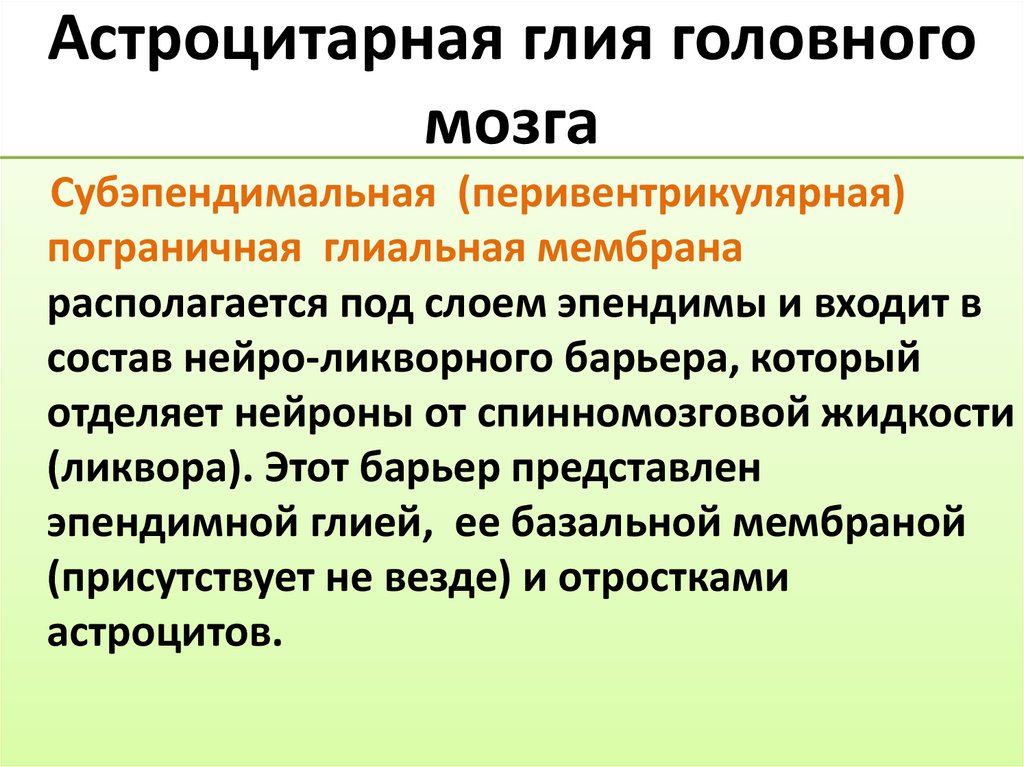 Астроцитарная глия головного мозга