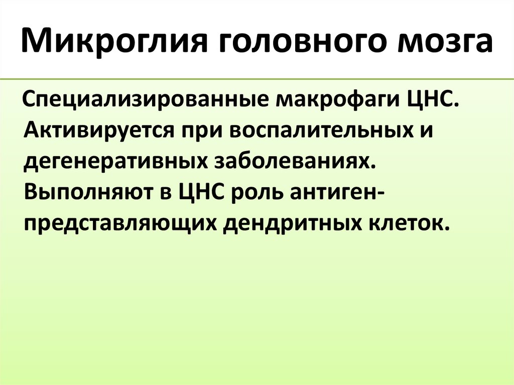 Микроглия головного мозга