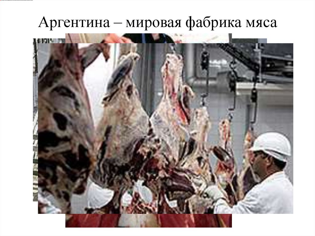 Аргентина – мировая фабрика мяса