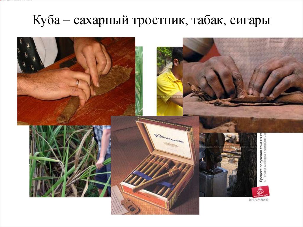 Куба – сахарный тростник, табак, сигары