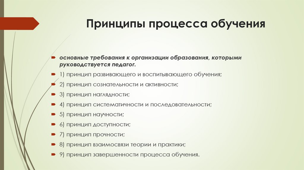 Принципы процесса обучения