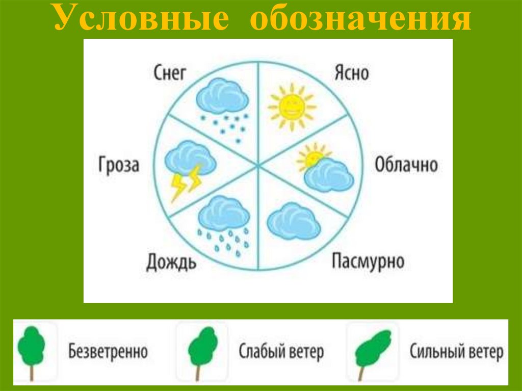 Условные обозначения