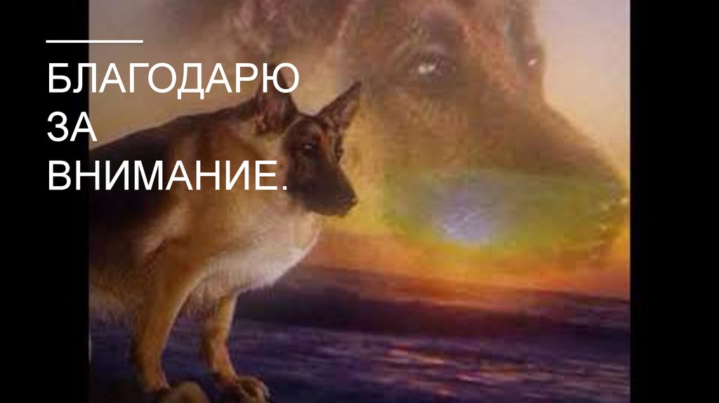 Благодарю за внимание.