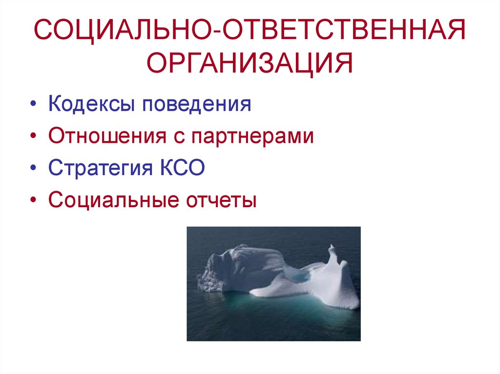 СОЦИАЛЬНО-ОТВЕТСТВЕННАЯ ОРГАНИЗАЦИЯ