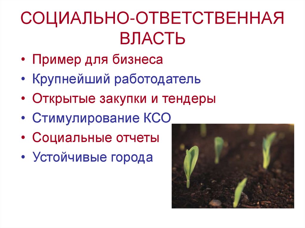 СОЦИАЛЬНО-ОТВЕТСТВЕННАЯ ВЛАСТЬ