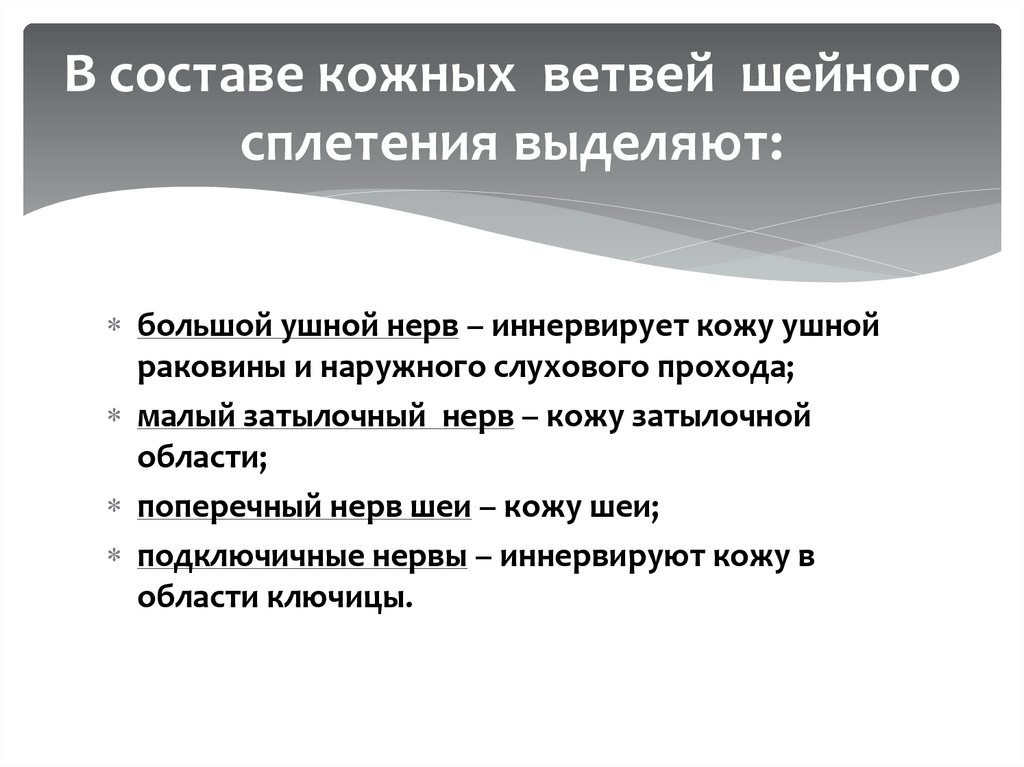 В составе кожных  ветвей  шейного сплетения выделяют:
