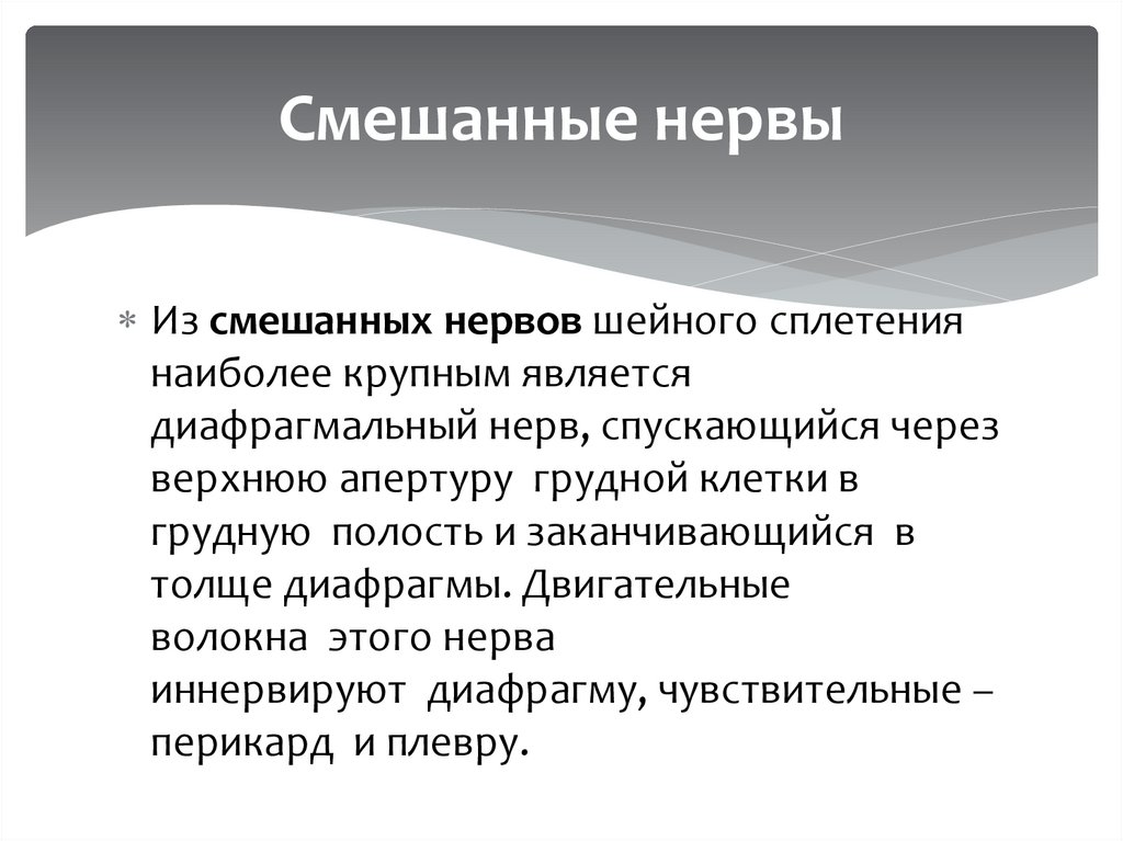 Смешанные нервы