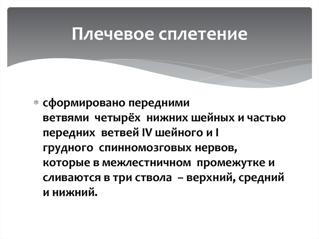 Плечевое сплетение