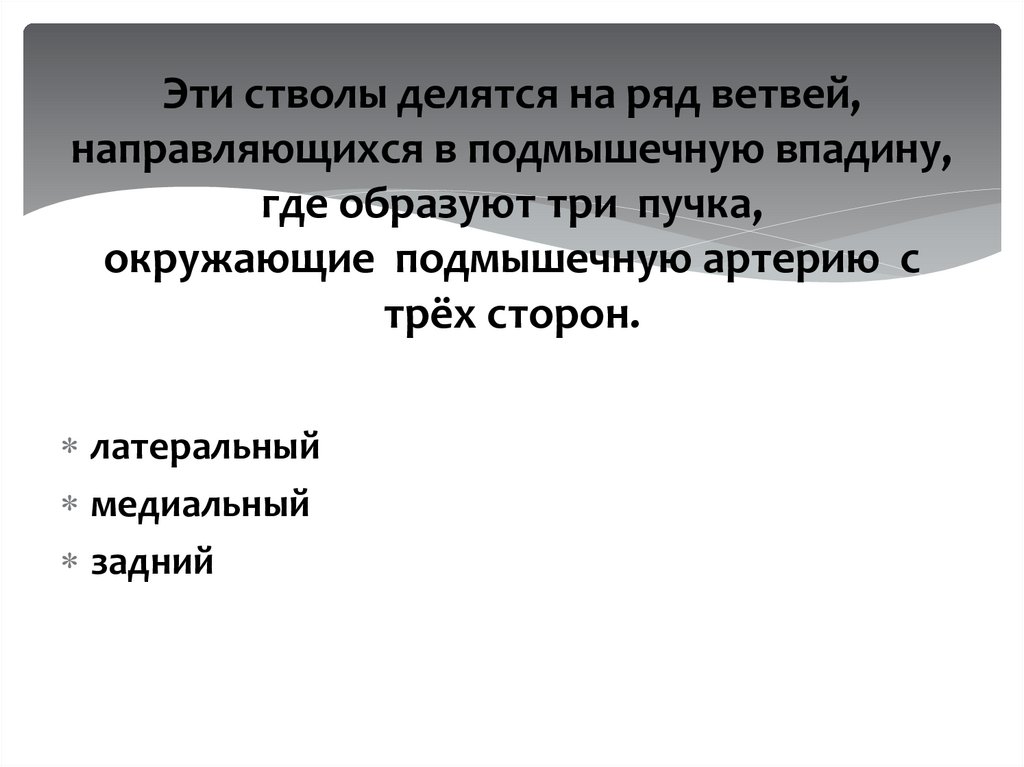 Эти стволы делятся на ряд ветвей, направляющихся в подмышечную впадину, где образуют три  пучка, окружающие  подмышечную