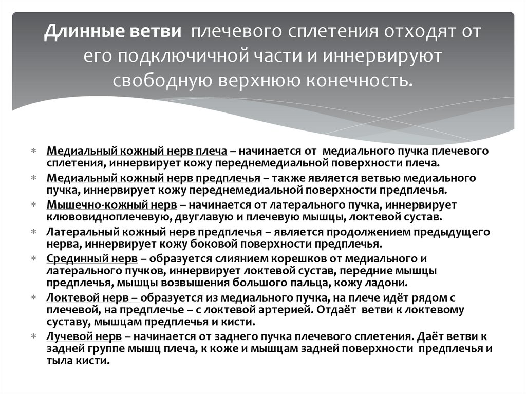 Длинные ветви  плечевого сплетения отходят от его подключичной части и иннервируют свободную верхнюю конечность.