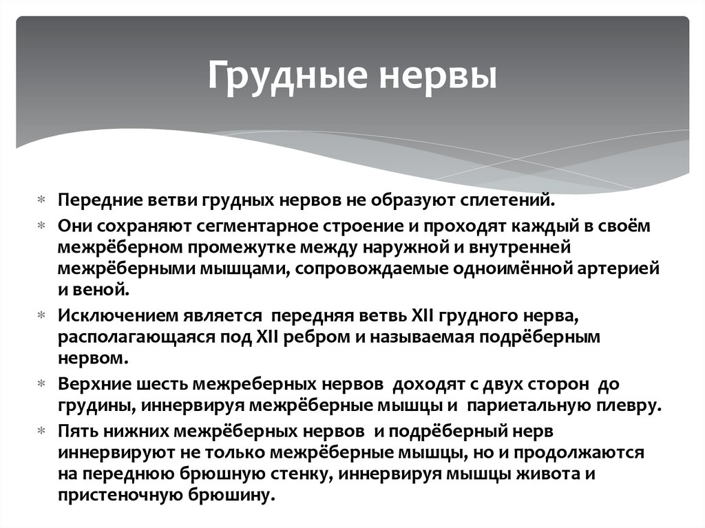 Грудные нервы