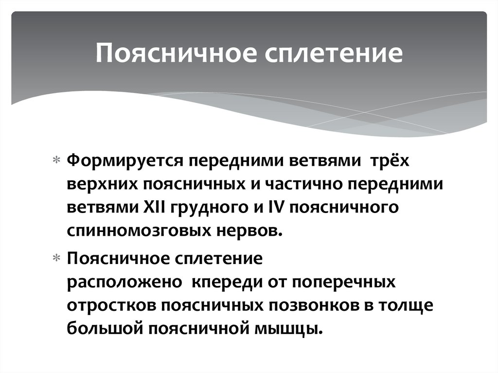 Поясничное сплетение