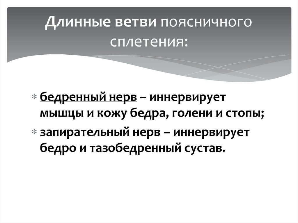 Длинные ветви поясничного сплетения: