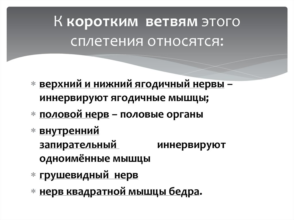 К коротким  ветвям этого сплетения относятся: