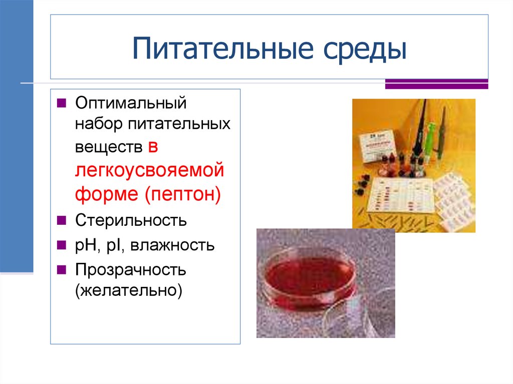 Питательные среды