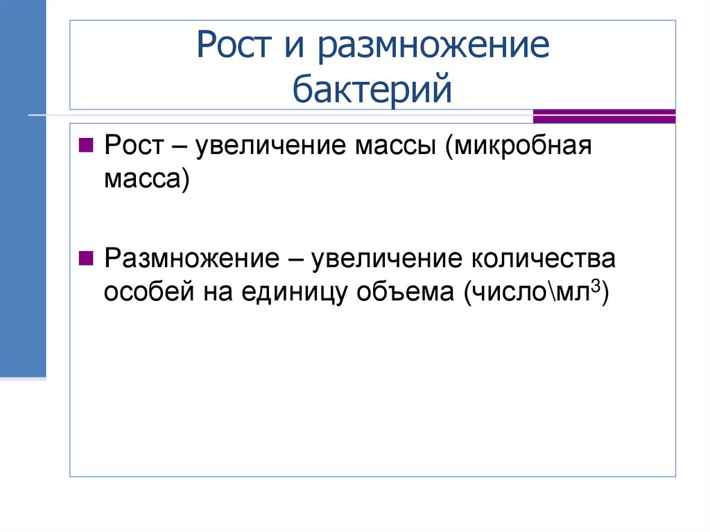 Рост и размножение бактерий