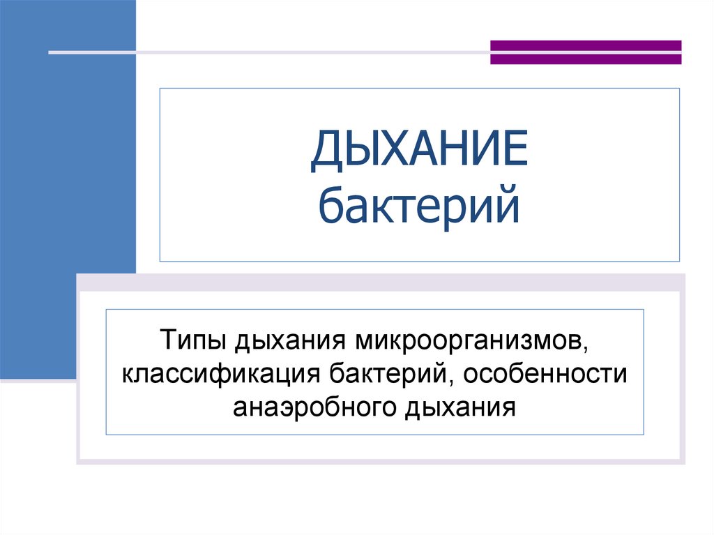 ДЫХАНИЕ бактерий