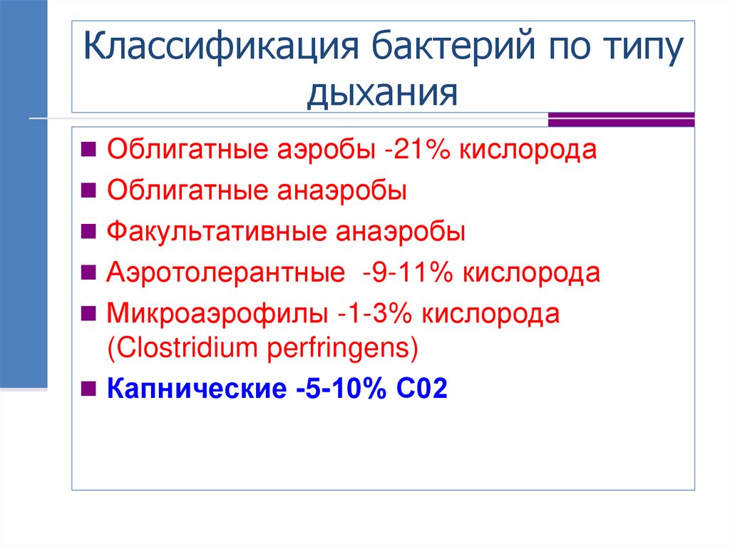 Классификация бактерий по типу дыхания