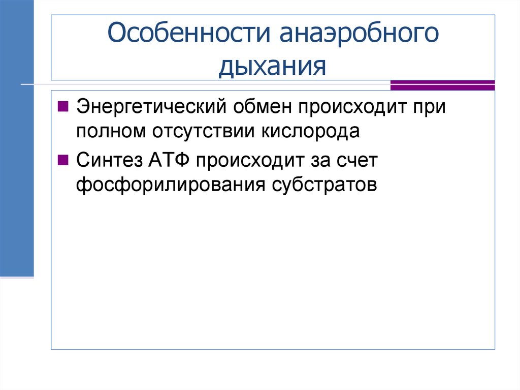 Особенности анаэробного дыхания