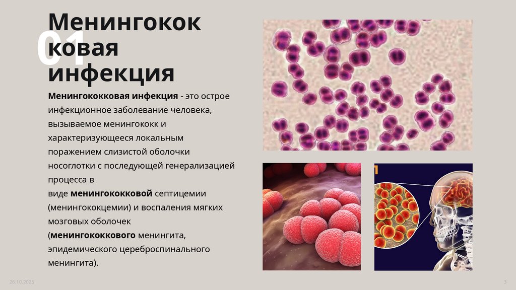 Менингококковая инфекция