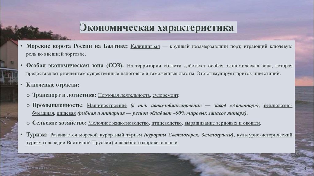 Экономическая характеристика