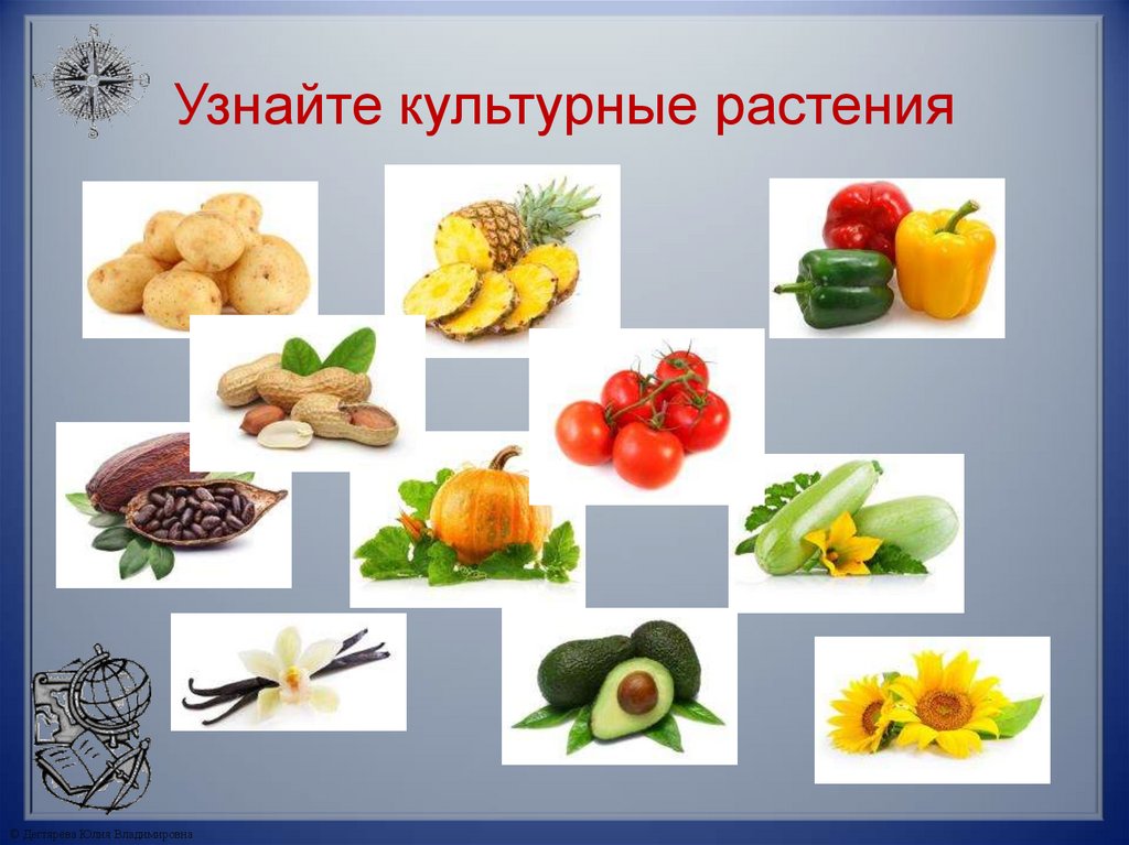 Узнайте культурные растения