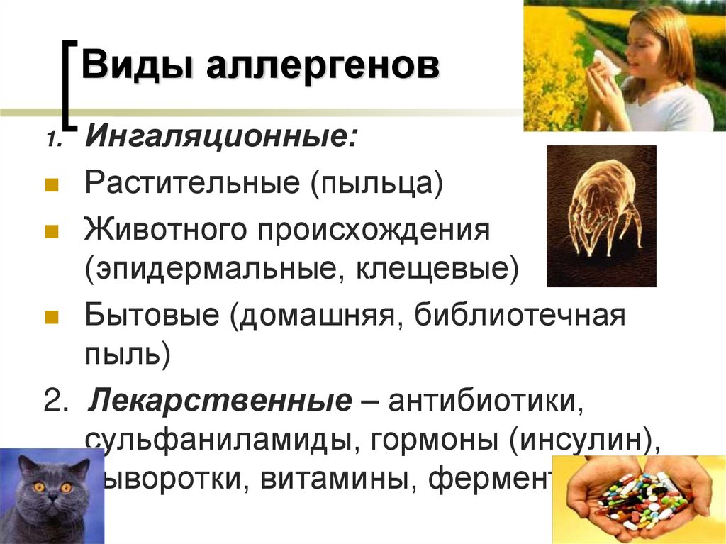 Виды аллергенов