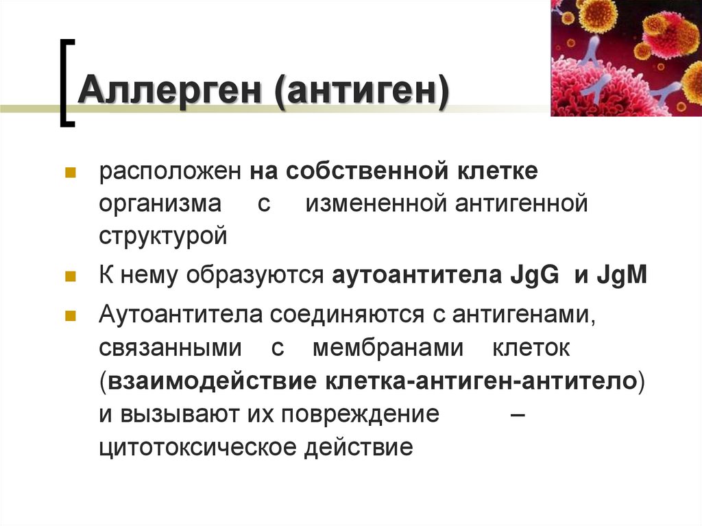 Аллерген (антиген)