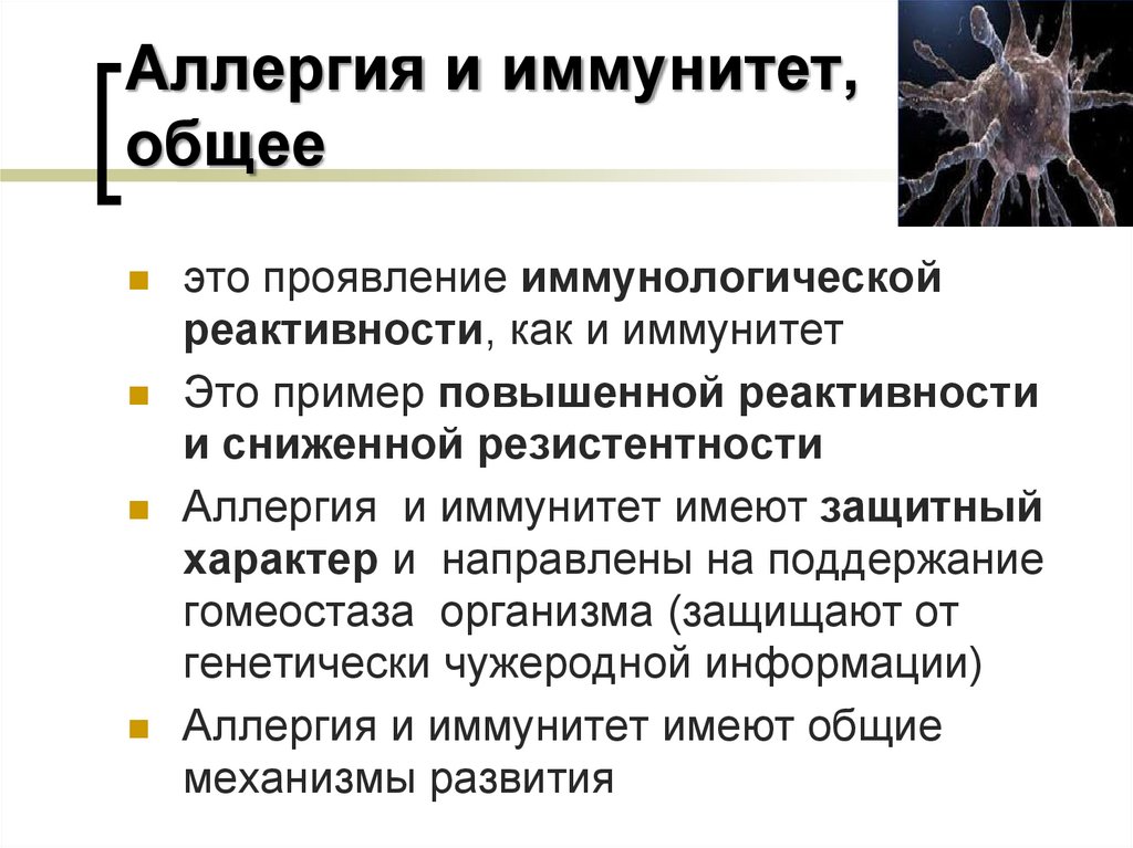 Аллергия и иммунитет, общее