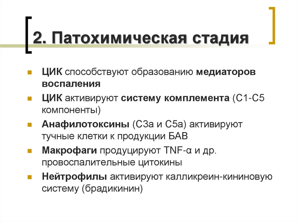 2. Патохимическая стадия