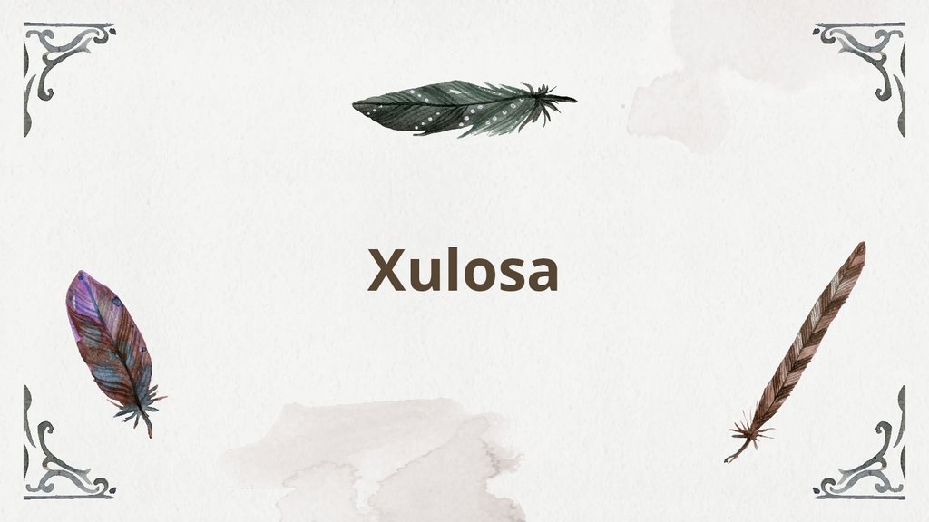 Xulosa