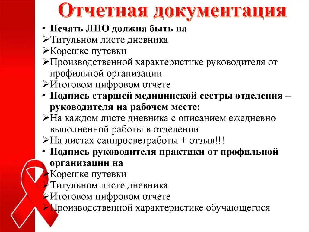 Отчетная документация