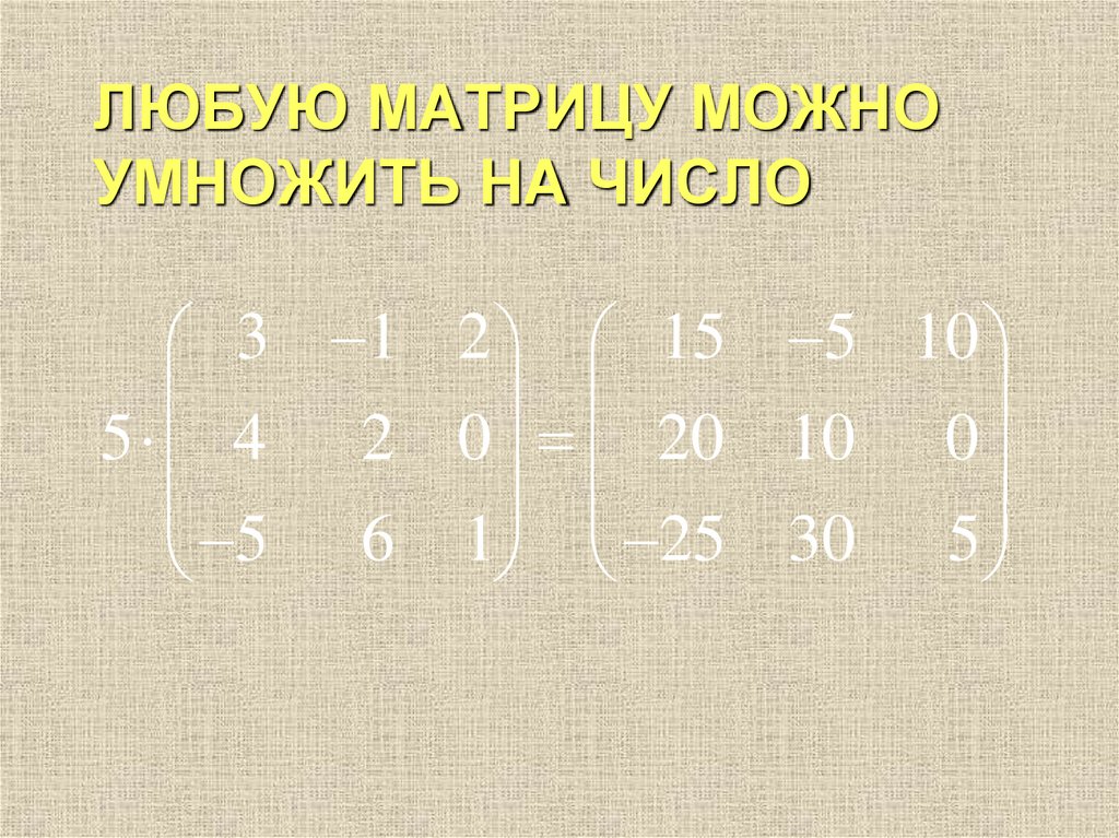 ЛЮБУЮ МАТРИЦУ МОЖНО УМНОЖИТЬ НА ЧИСЛО