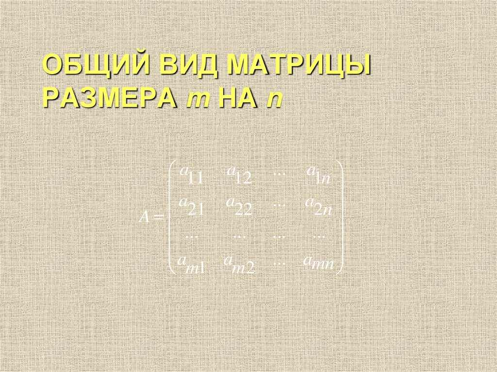 ОБЩИЙ ВИД МАТРИЦЫ РАЗМЕРА m НА n